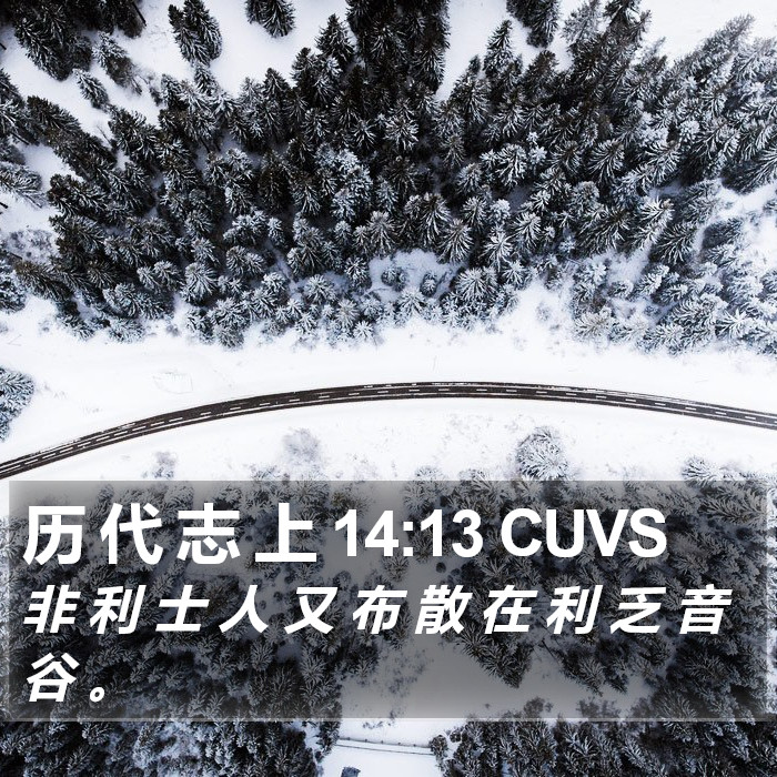 历 代 志 上 14:13 CUVS Bible Study