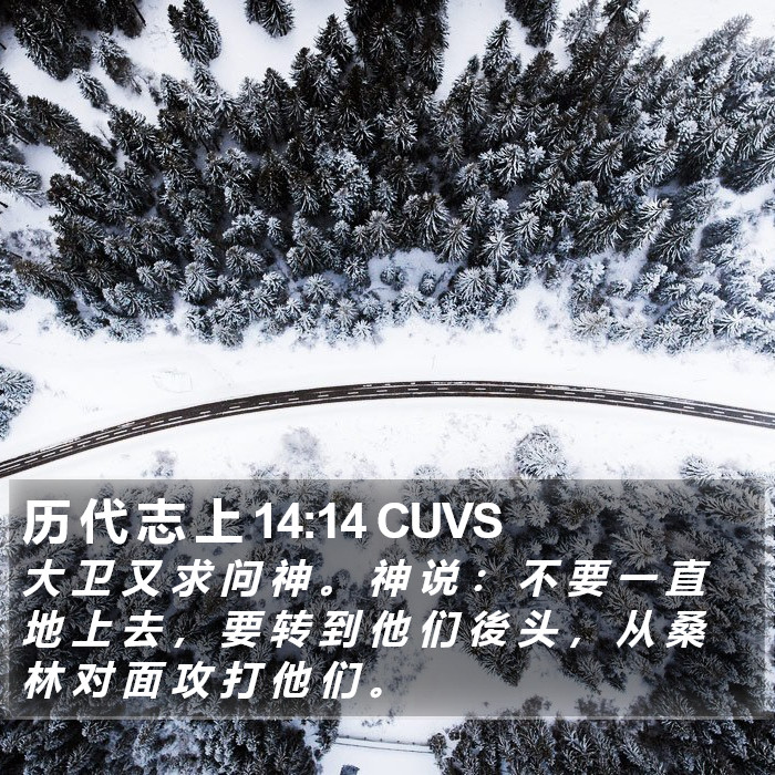 历 代 志 上 14:14 CUVS Bible Study