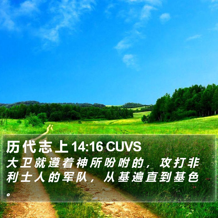 历 代 志 上 14:16 CUVS Bible Study