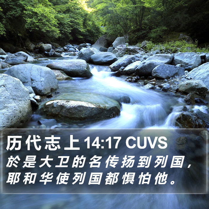 历 代 志 上 14:17 CUVS Bible Study