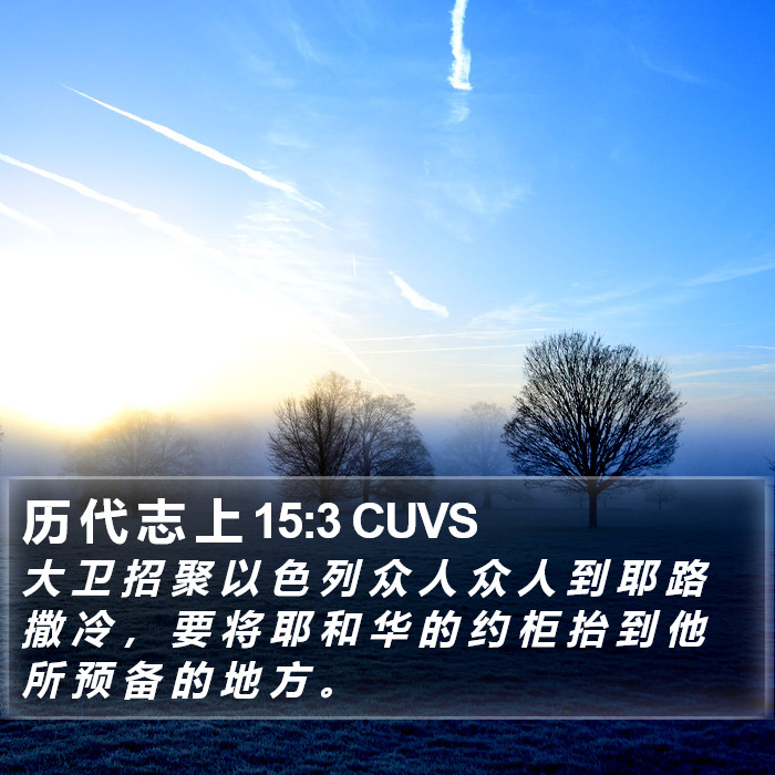 历 代 志 上 15:3 CUVS Bible Study