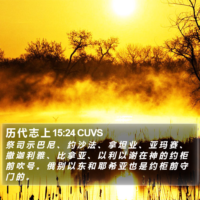 历 代 志 上 15:24 CUVS Bible Study