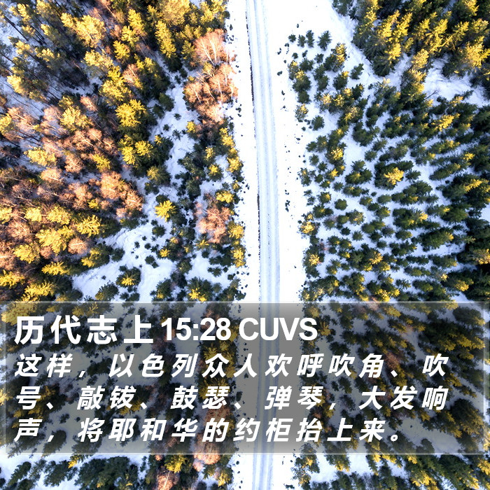 历 代 志 上 15:28 CUVS Bible Study