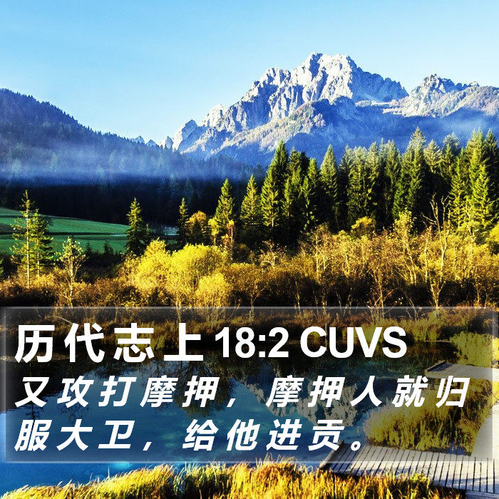 历 代 志 上 18:2 CUVS Bible Study