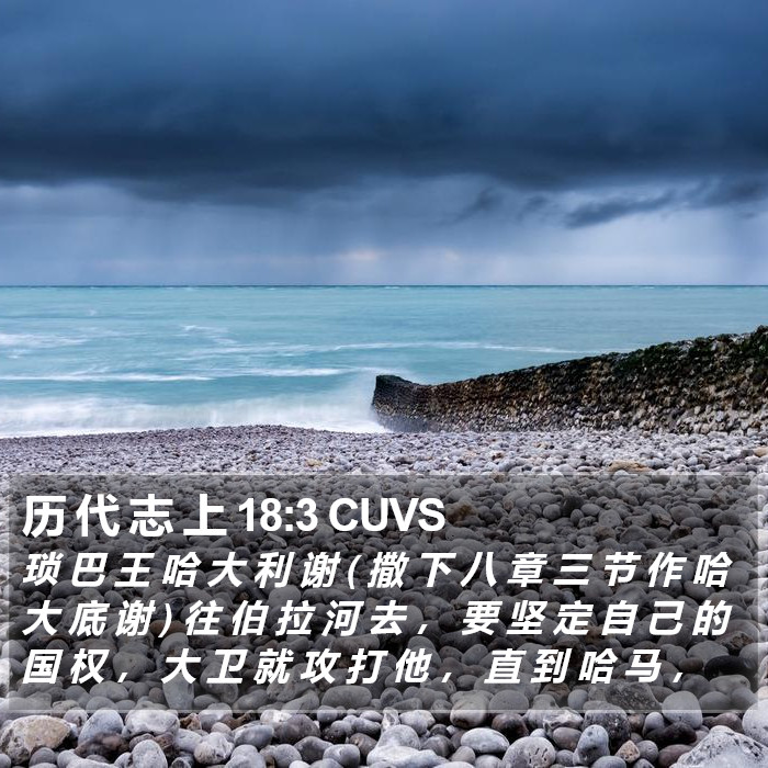 历 代 志 上 18:3 CUVS Bible Study