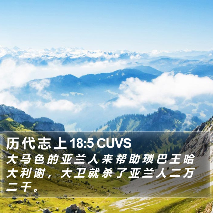 历 代 志 上 18:5 CUVS Bible Study