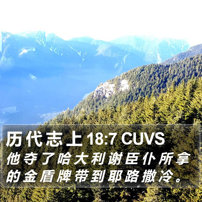 历 代 志 上 18:7 CUVS Bible Study