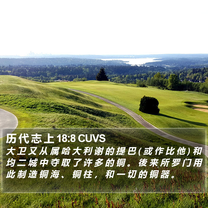 历 代 志 上 18:8 CUVS Bible Study