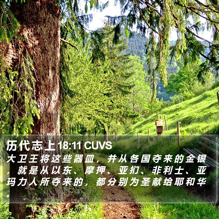 历 代 志 上 18:11 CUVS Bible Study