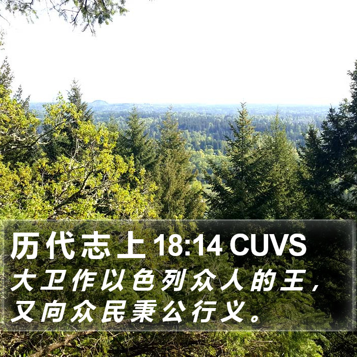 历 代 志 上 18:14 CUVS Bible Study