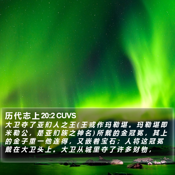 历 代 志 上 20:2 CUVS Bible Study