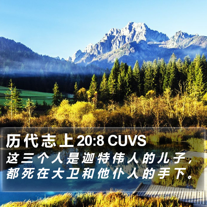 历 代 志 上 20:8 CUVS Bible Study