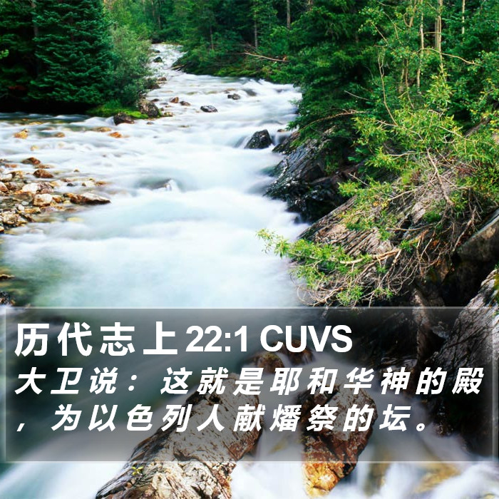 历 代 志 上 22:1 CUVS Bible Study