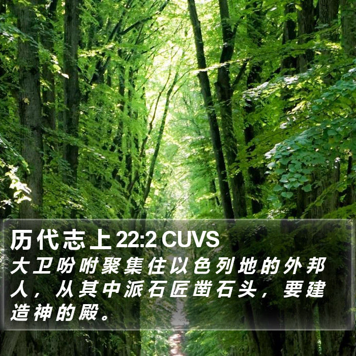 历 代 志 上 22:2 CUVS Bible Study