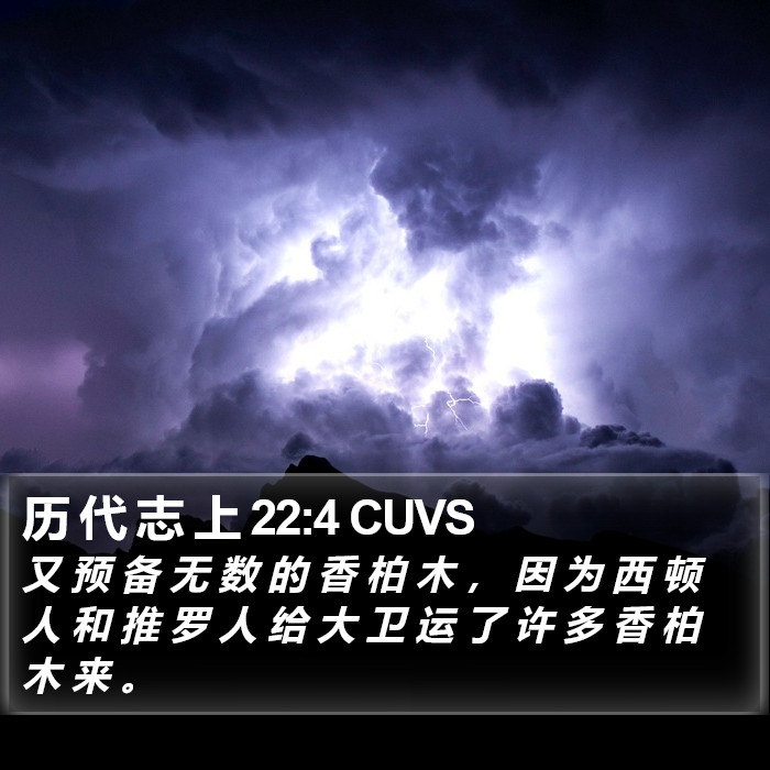 历 代 志 上 22:4 CUVS Bible Study