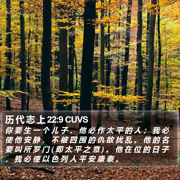 历 代 志 上 22:9 CUVS Bible Study