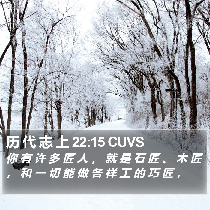 历 代 志 上 22:15 CUVS Bible Study