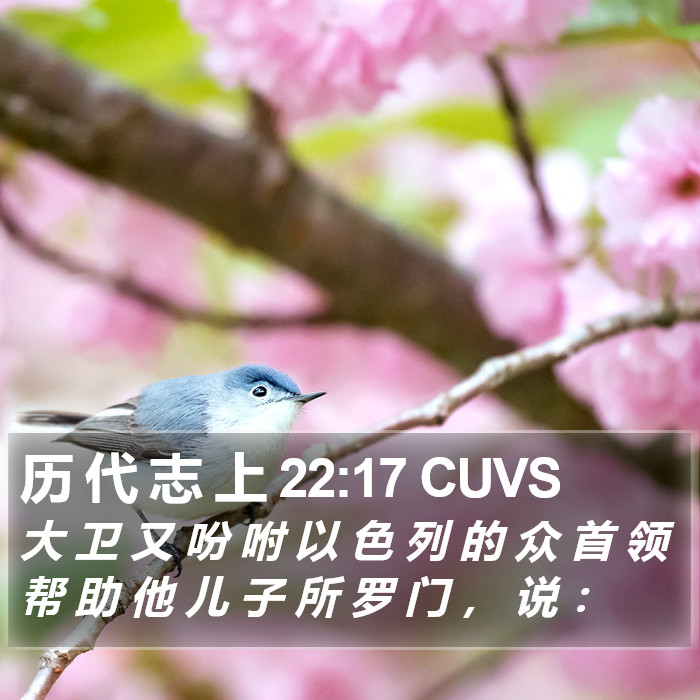 历 代 志 上 22:17 CUVS Bible Study