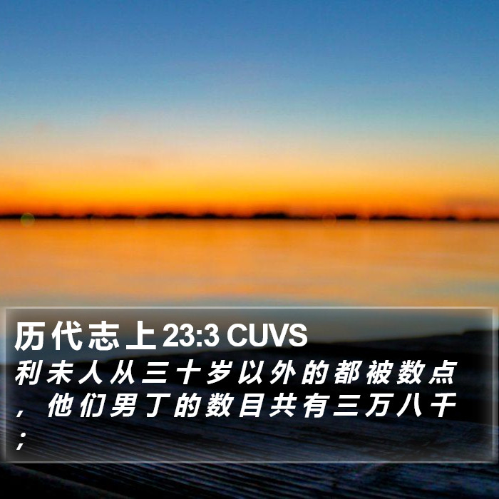 历 代 志 上 23:3 CUVS Bible Study