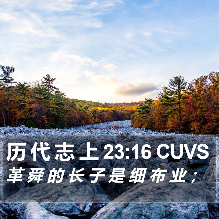 历 代 志 上 23:16 CUVS Bible Study