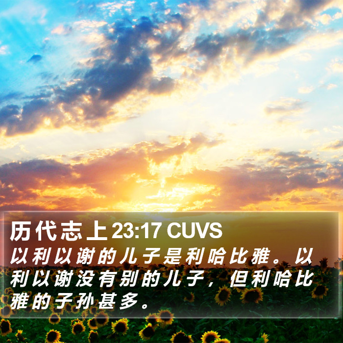 历 代 志 上 23:17 CUVS Bible Study