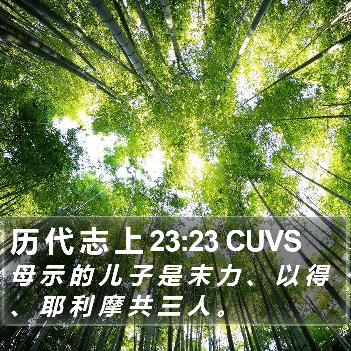 历 代 志 上 23:23 CUVS Bible Study