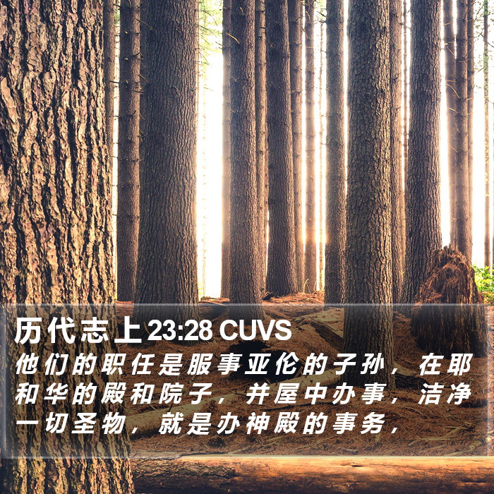 历 代 志 上 23:28 CUVS Bible Study