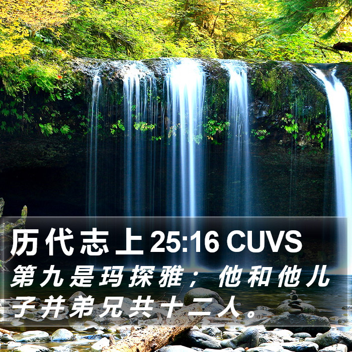 历 代 志 上 25:16 CUVS Bible Study