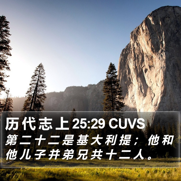 历 代 志 上 25:29 CUVS Bible Study