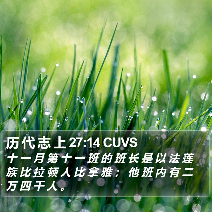 历 代 志 上 27:14 CUVS Bible Study