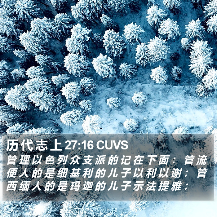 历 代 志 上 27:16 CUVS Bible Study
