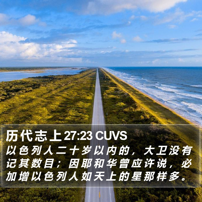 历 代 志 上 27:23 CUVS Bible Study