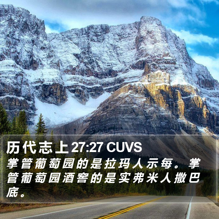 历 代 志 上 27:27 CUVS Bible Study