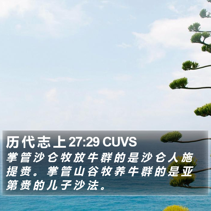 历 代 志 上 27:29 CUVS Bible Study