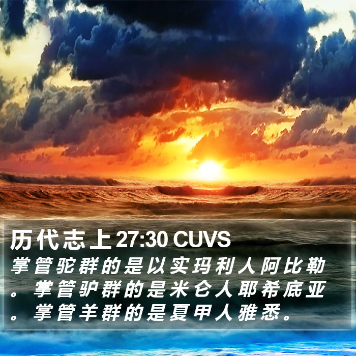 历 代 志 上 27:30 CUVS Bible Study