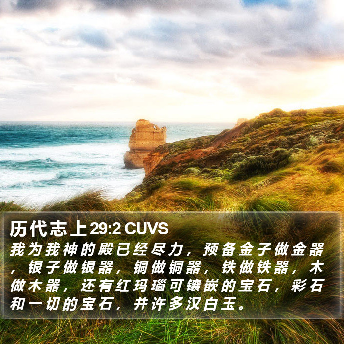 历 代 志 上 29:2 CUVS Bible Study
