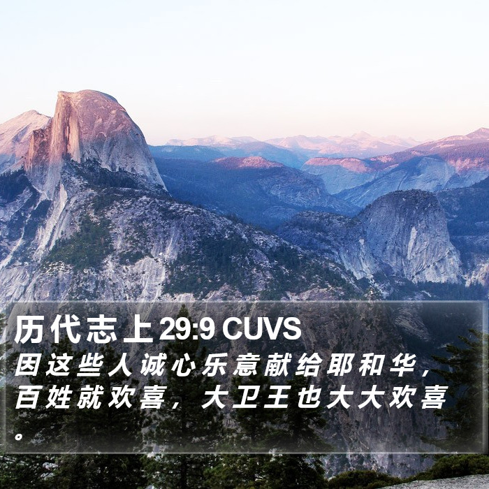 历 代 志 上 29:9 CUVS Bible Study