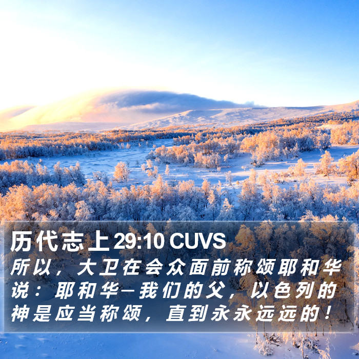 历 代 志 上 29:10 CUVS Bible Study