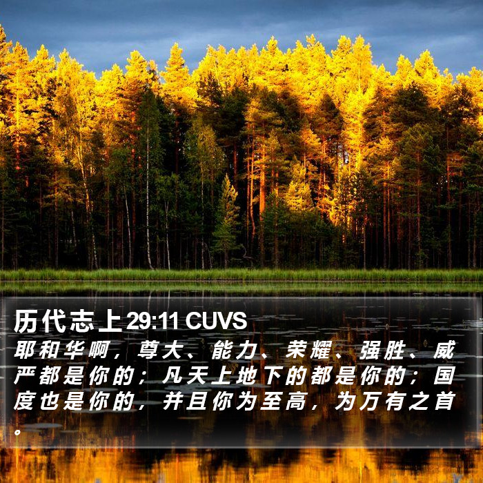 历 代 志 上 29:11 CUVS Bible Study