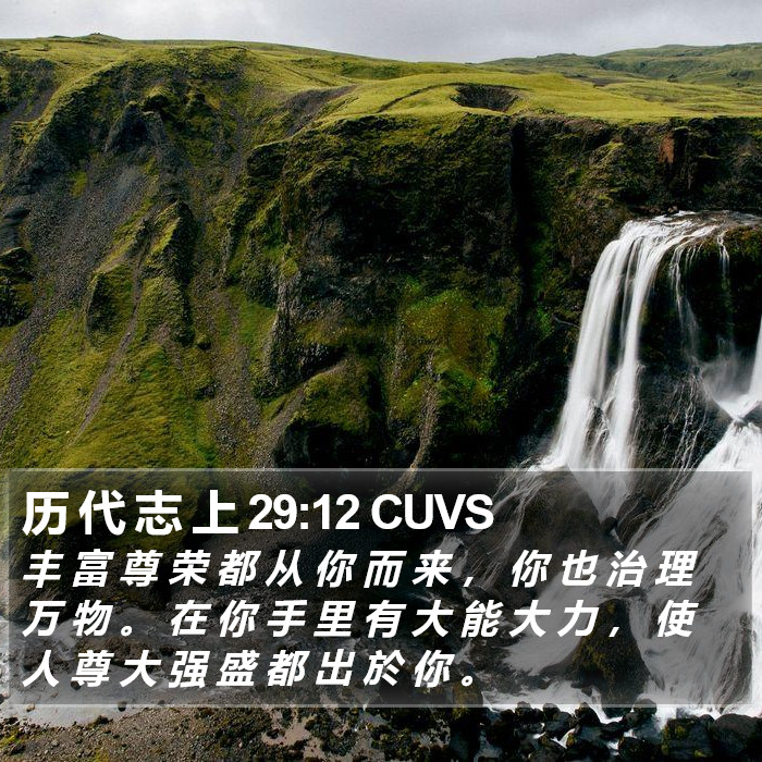 历 代 志 上 29:12 CUVS Bible Study