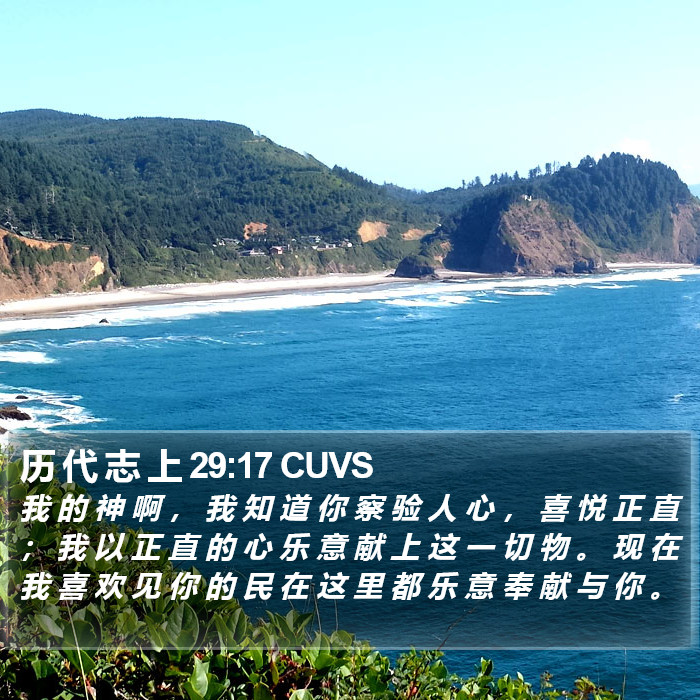 历 代 志 上 29:17 CUVS Bible Study