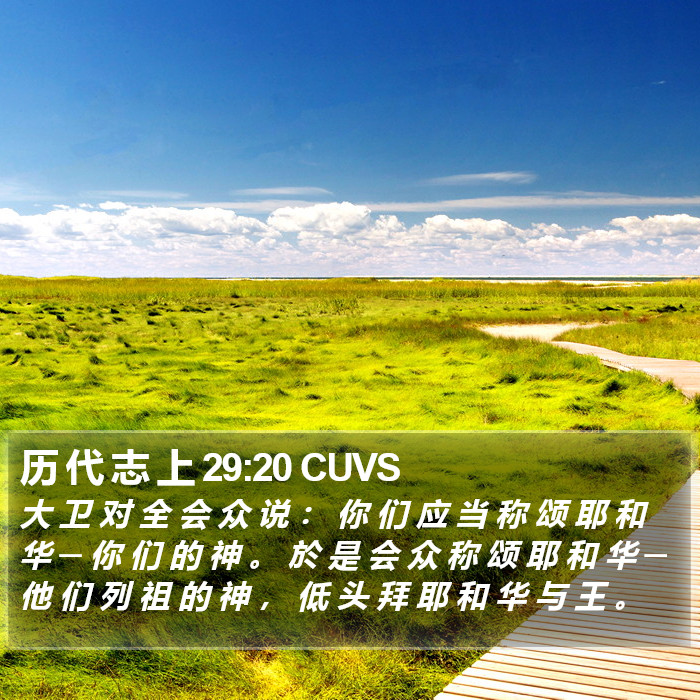 历 代 志 上 29:20 CUVS Bible Study