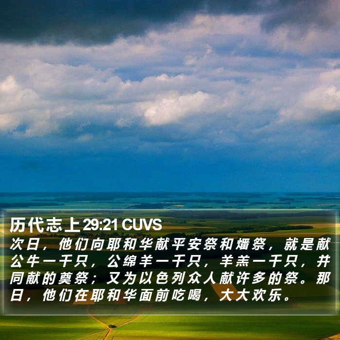 历 代 志 上 29:21 CUVS Bible Study