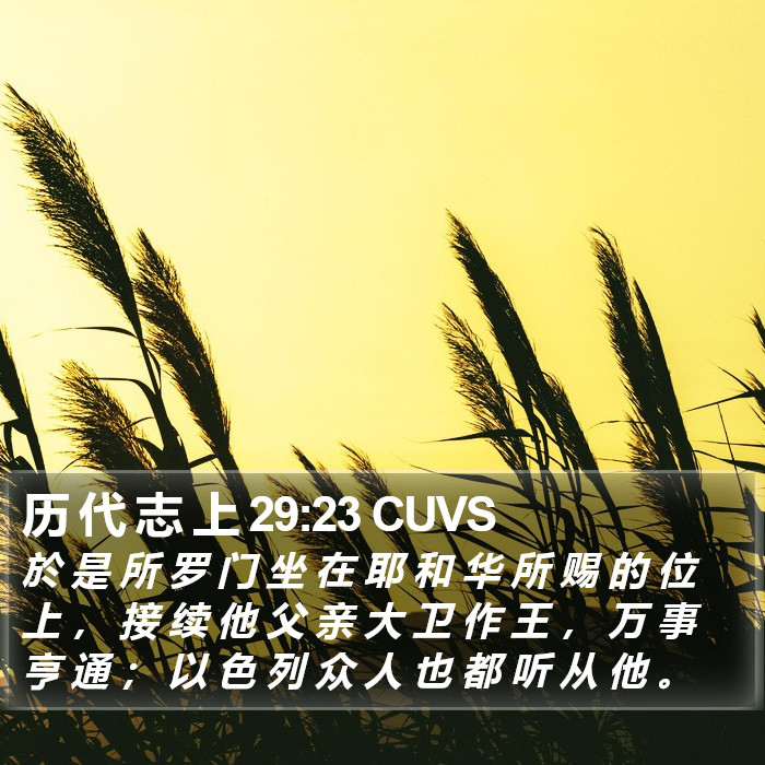 历 代 志 上 29:23 CUVS Bible Study