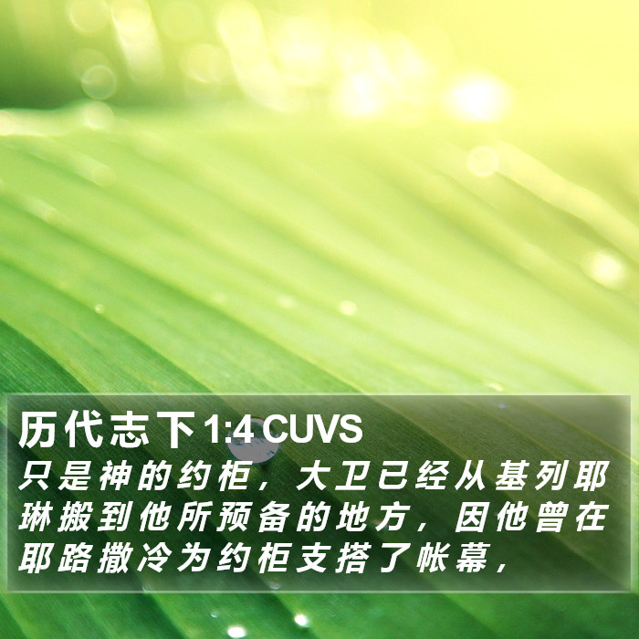 历 代 志 下 1:4 CUVS Bible Study