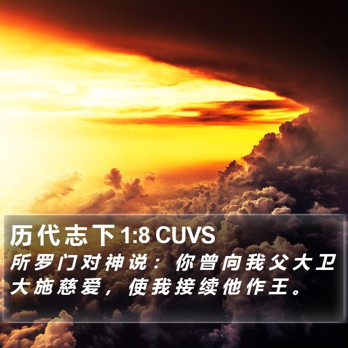 历 代 志 下 1:8 CUVS Bible Study