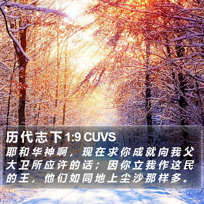 历 代 志 下 1:9 CUVS Bible Study