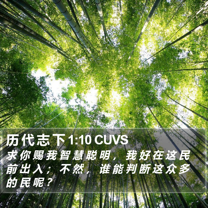 历 代 志 下 1:10 CUVS Bible Study