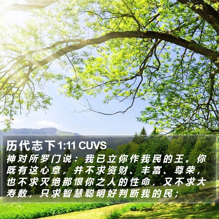 历 代 志 下 1:11 CUVS Bible Study