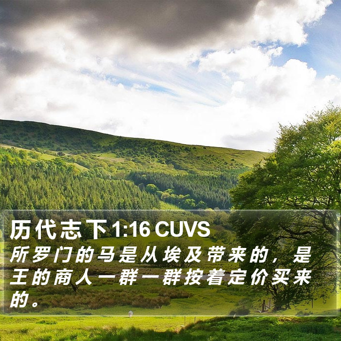 历 代 志 下 1:16 CUVS Bible Study